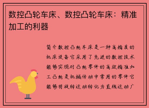 数控凸轮车床、数控凸轮车床：精准加工的利器